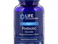 Life Extension, FLORASSIST Prebiotic Chewable, Natural Strawberry Flavor, 60 Chewable Tablets