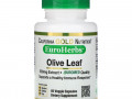 California Gold Nutrition, Экстракт листьев оливы, EuroHerbs, европейское качество, 500 мг, 60 растительных капсул