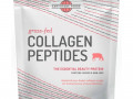 Earthtone Foods, Коллагеновые пептиды из животных на травяном выпасе, без ароматизаторов, 16 унций (454 г)