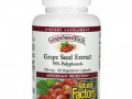 Natural Factors, Grape Seed Extract, 100 mg, 60 Vegetarian Capsules