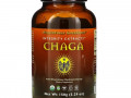 HealthForce Superfoods, Integrity Extracts Chaga, 5.29 oz (150 g)