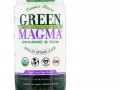 Green Foods, Green Magma, сок из зеленых побегов ячменя, 150 г (5,3 унции)