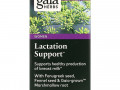 Gaia Herbs, Добавка для поддержки грудного вскармливания, 60 веганских капсул Liquid Phyto-Caps