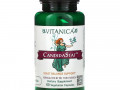 Vitanica, CandidaStat, поддержка баланса дрожжей, 60 вегетарианских капсул