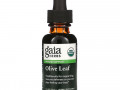 Gaia Herbs, листья оливкового дерева, 30 мл (1 жидк. унция)