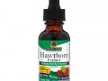 Nature's Answer, Hawthorn Extract, Alcohol-Free, 2,000 mg, 1 fl oz (30 ml)