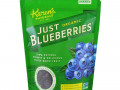 Karen's Naturals, Organic Just Blueberries, высушенные сублимацией фрукты, 2 унции (56 г)