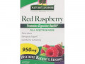 Nature's Answer, Red Raspberry, Rubus Idaeus, 950 mg, 90 Vegetarian Capsules