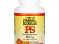 Natural Factors, ФС (фосфатидилсерин), 100 мг, 60 мягких таблеток