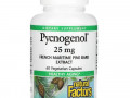 Natural Factors, Pycnogenol, 25 мг, 60 вегетарианских капсул
