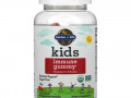 Garden of Life, детские жевательные таблетки для поддержки иммунитета, с витаминами C, D и цинком, вишня, 60 вегетарианских жевательных таблеток