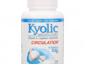 Kyolic, Aged Garlic Extract, Formula 106, 100 Capsules