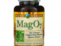 Pure Vegan, Mag 07, высокоэффективное окисляющее средство для очистки пищеварительной системы, 120 вегетарианских капсул