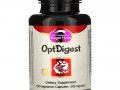 Dragon Herbs, OptDigest, 500 mg, 100 Vegetarian Capsules