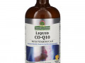 Nature's Answer, Liquid Co-Q10 with Vitamins C & E, Tangerine, 8 fl oz (240 ml)