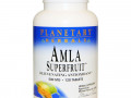 Planetary Herbals, Суперфрукт амла, омолаживающий антиоксидант, 500 мг, 120 таблеток