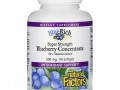 Natural Factors, BlueRich, супер эффективность, концентрат голубики, 500 мг, 90 мягких таблеток