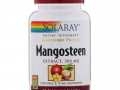 Solaray, Экстракт мангустана, 500 мг, 60 вегетарианских капсул