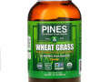 Pines International, Pines, ростки пшеницы, порошок, 24 унции (680 г)