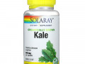 Solaray, органически выращенная кудрявая капуста, 440 мг, 100 вегетарианских капсул