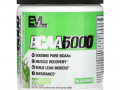 EVLution Nutrition, Ultra Premium BCAA 5000, Lemon Lime, 9.1 oz (258 g)