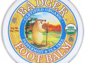 Badger Company, Бальзам для ног с экстрактами перечной мяты и чайного дерева, .75 унций (21 г)