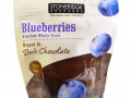 Stoneridge Orchards, Голубика в темном шоколаде, 70% какао, 142 г (5 унций)