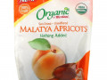 Mariani Dried Fruit, Organic, Sun Dried- Unsulfured, Malatya Apricots, 5 oz ( 142 g)