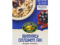 Nature's Path, Organic Instant Oatmeal, Blueberry Cinnamon Flax, 8 Packets, 11.3 oz (320 g)