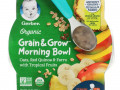Gerber, Grain & Grow Morning Bowl, органический продукт, для малышей от 10 месяцев, овсянка, красное киноа и полба с тропическими фруктами, 128 г (4,5 унции)