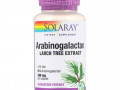 Solaray, Arabinogalactan Leaf Extract, 300 mg, 60 Vegcaps